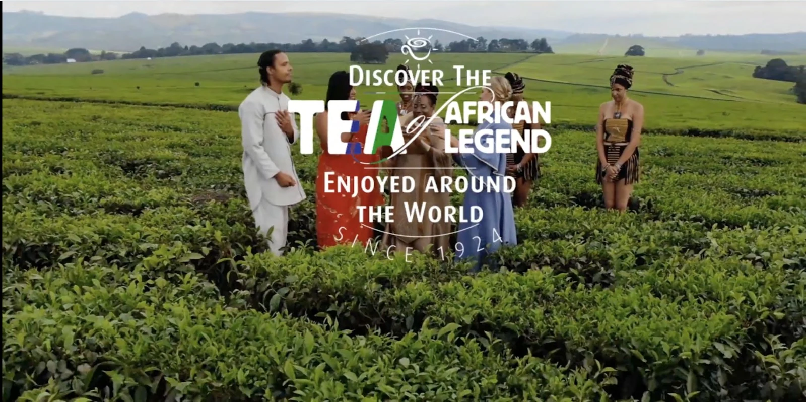 Tanganda Tea campaign scene among tea fields, from the supplied portfolio
